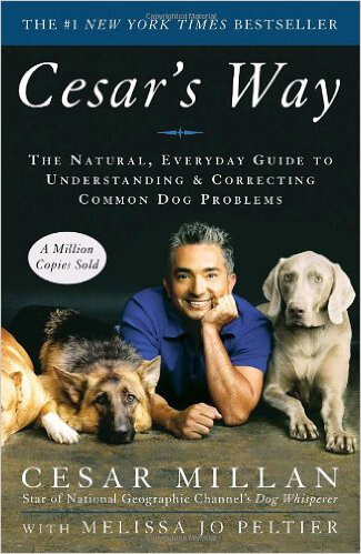 Cesar’s Way