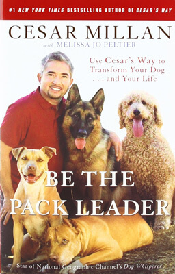 Cesar Millan’s Be the Pack Leader