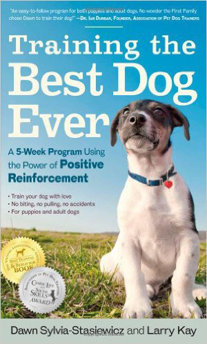 Training the Best Dog Ever