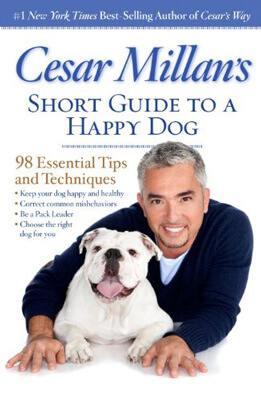 Short Guide to a Happy Dog
