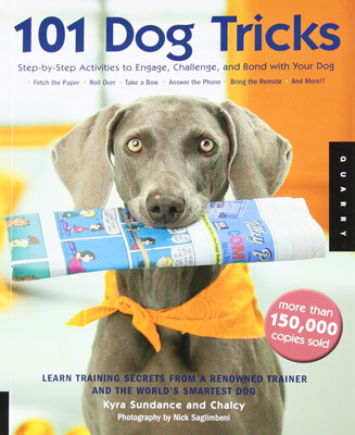101 Dog Tricks