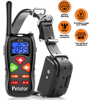 Petutor Dog Training Collar