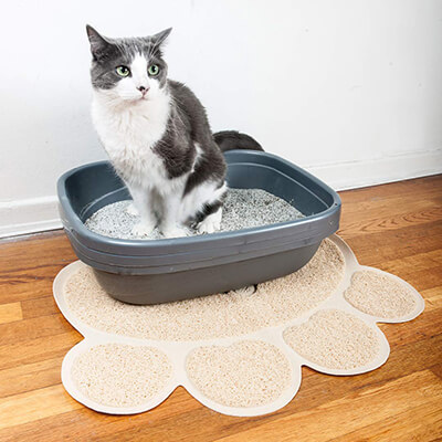 Pet Magasin Cat Litter Mat