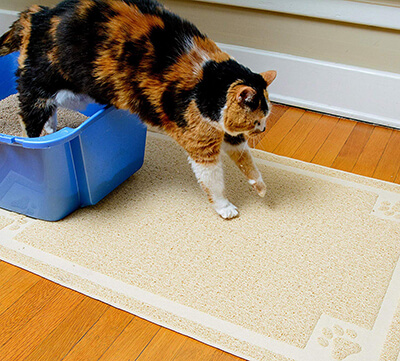 CleanHouse Cat Litter Mat