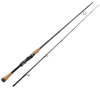 Graphite Spinning Fishing Rod