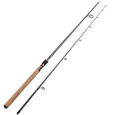 Inshore Spinning Rod