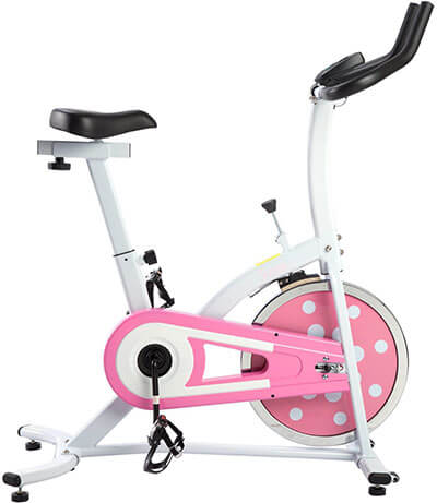 Sunny Health & Fitness P8100 Pink Indoor Cycling Bike