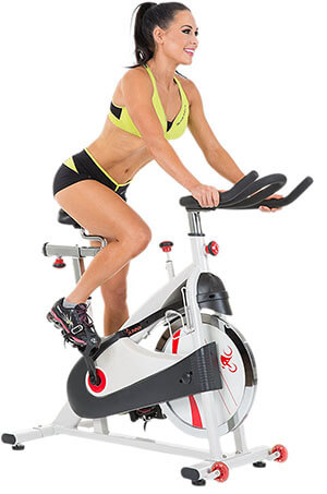 Sunny Health & Fitness SF-B1509 Indoor Exercise Bike