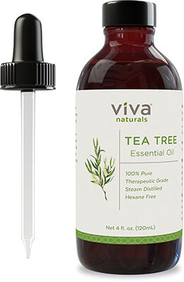 Tea Tree Essential Oil by Viva Naturals