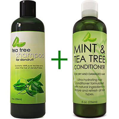 Honeydew Tea Tree Dandruff Shampoo and Hair Conditioner