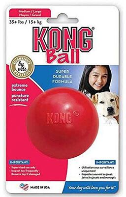 KONG Ball Dog Toy