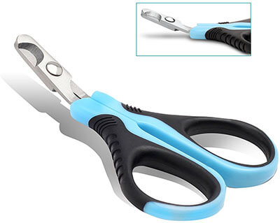 Green Street Pet Basics Stainless Steel Dog Nail Clippers & Trimmers
