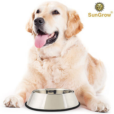 SunGrow Jumbo Feeding Pet Stainless Steel Bowl (32 oz)