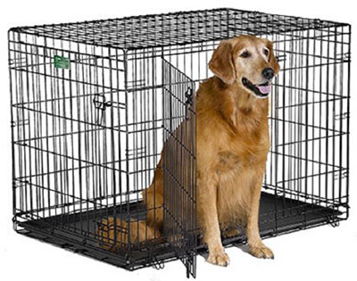 MidWest iCrate Dog Crate