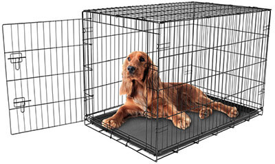 Carlson Pet Products Dog Crate