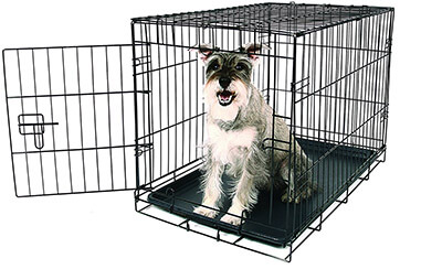 Carlson Pet Products Metal Dog Crate