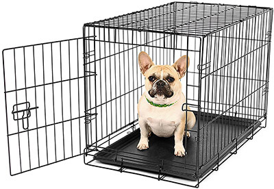Carlson Pet Products Small Dog Crate