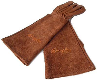 Exemplary Gardens Rose Pruning Gloves