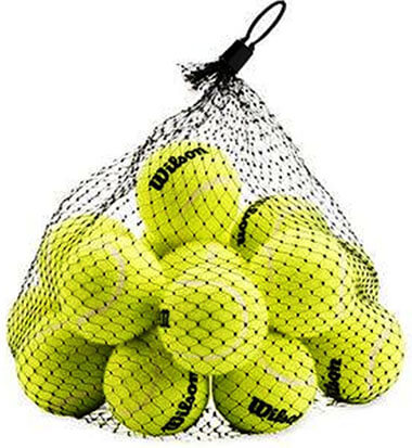 Wilson Pressureless Tennis Balls