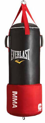 Everlast Omni Strike Heavy 80-Pound Bag