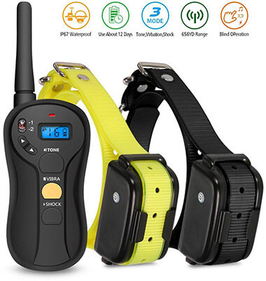 Remote Dog Training Collar by Focuspet