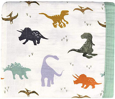 Dinosaur Muslin Stroller Blanket