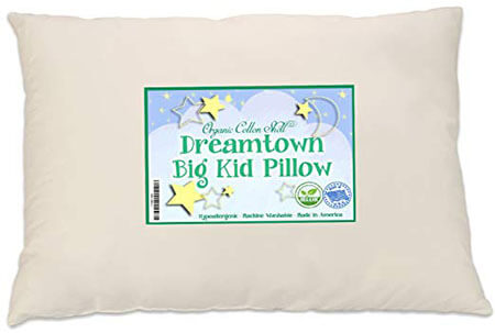 Dreamtown Kids Organic Pillow