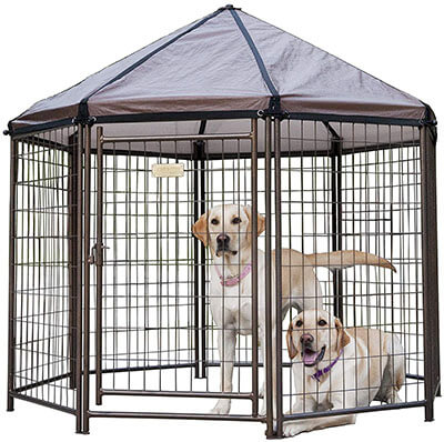 Advantek Outdoor Dog Kennel