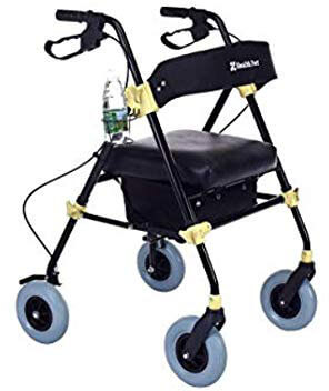 Health Port Rollator Walker