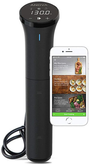 Anova Culinary Sous Vide Precision Cooker