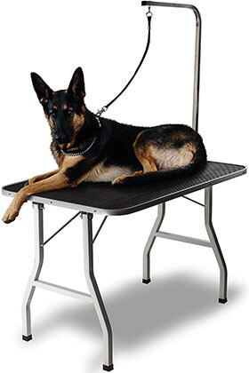 Paws & Pals Grooming Table for Dogs Portable Tables Stand Pet