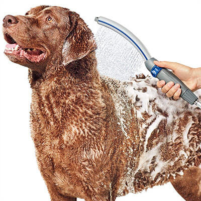 Waterpik PPR-252 Pro Dog Shower Attachment- Pet Wand