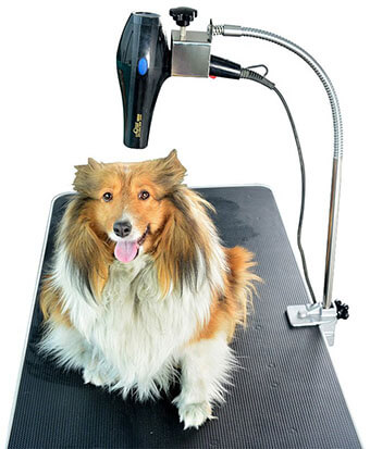 SHELANDY Dog Grooming Table Rrms Hair Dryer Holder Hands