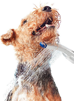 Waterpik PES-142 Pet Wand Dog Shower