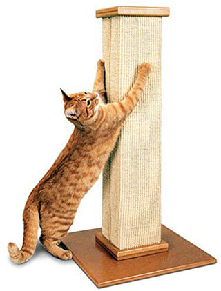 Pioneer Pet SmartCat The Ultimate Scratching Post