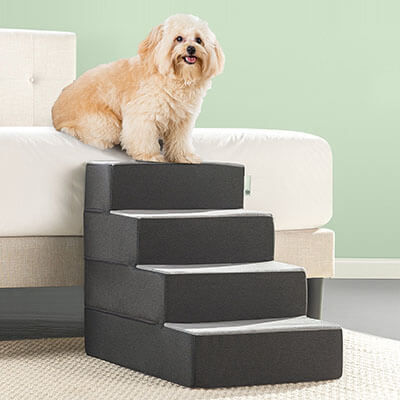 Zinus 2 Step Easy Pet Stairs/ Ramp/ Ladder