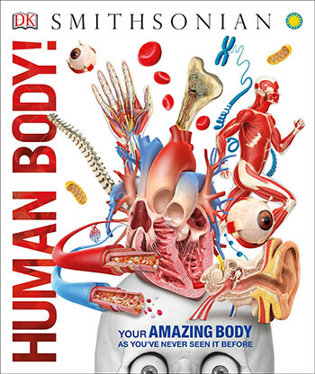 Human Body: Knowledge Encyclopedias