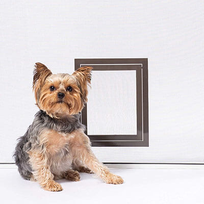 PetSafe Pet Screen Door, Dog & Cat Door