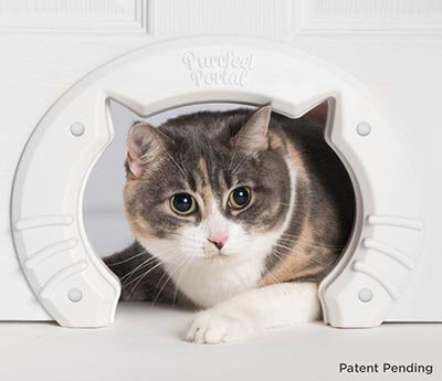 Purrfect Portal Built-in Interior Pet Cat Door