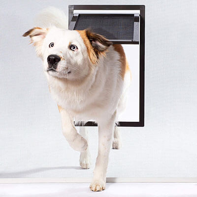 PetSafe Pet Screen Dog and Cat Door for Screen Door