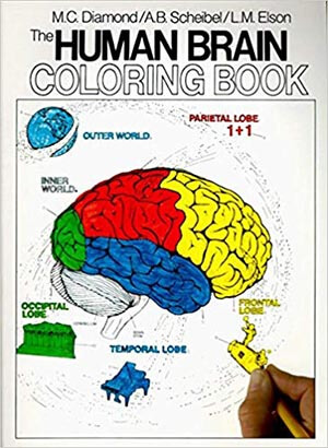 The Human Brain Coloring Book -1st Edition