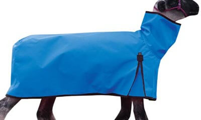 Weaver Leather Cordura Solid Butt Sheep Blanket