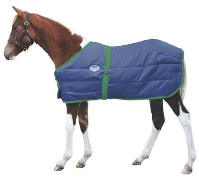 Weatherbeeta 300D Growing Foal Blanket