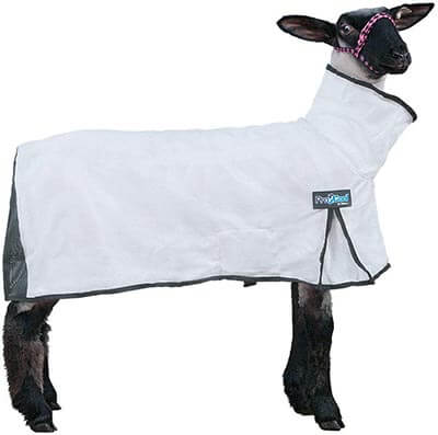 Weaver Leather ProCool Mesh Sheep Blanket