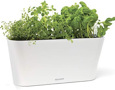 Aquaphoric Herb Garden Tub - Self Watering Passive Hydroponic Planter