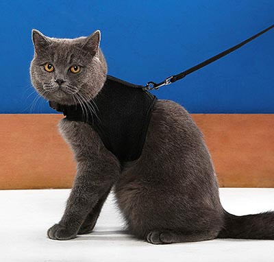 Niteangel Adjustable Cat Harness with Elastic Leash-2-Pack