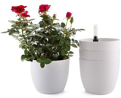 T4U 6" Plastic Self Watering Planter