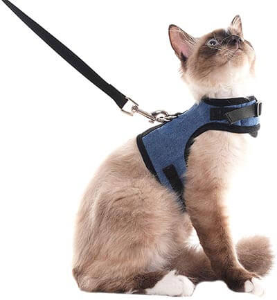 SCENEREAL Escape Proof Cat-Harness and Leash