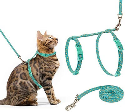 PUPTECK Cat Harness with Leash Set