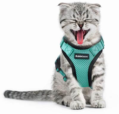 Rabbitgoo Cat Harness Escape Proof Small Dogs